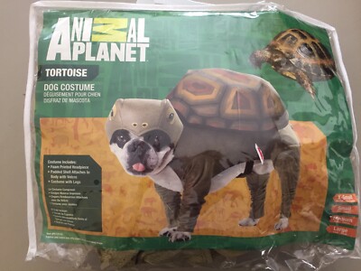 tortoise dog