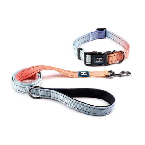 Blue Dog Collar and Leash for Medium Dogs Reflective Dog Collars and Leashes ...