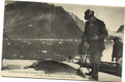 PC ROYALTY, LE PRINCE DE MONACO Á LA CHASSE AU PHOQUE, Vintage Postcard (b38447)