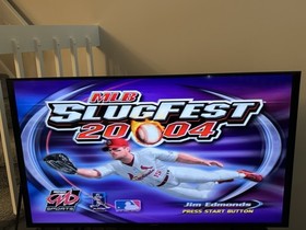 Tested PlayStation 2 PS2 Video Game Bundle Lot Rayman Tony Hawk Star Trek MLB