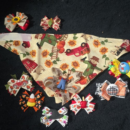 Autumn Farm Multicolor Dog Hair Clips & Bandana Set Decorative Bows