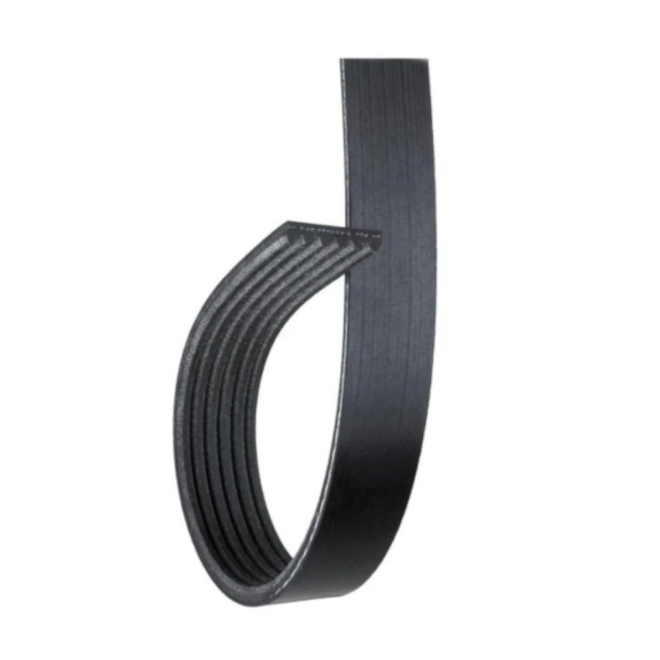 Cinturón Serpentine ACDelco genuino para BMW 335i/335is 2011 | Negro | 7 costillas 88932842 Foto 2 de 4