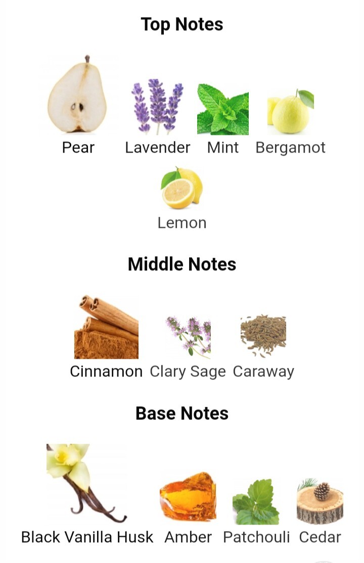 ultra male jean paul gaultier notes