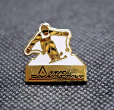 Dynastar Skis Event Sponsor Lapel Pin  _ ASNIS  Ski Club or Association  ?
