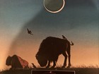 Norton Buffalo  poster promo 1977 Lovin’ In The Valley of The Moon  24” X 24”  — photo 5