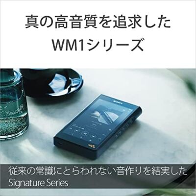 SONY NW-WM1AM2 WALKMAN 128GB WM1 Series Hi-Res Android 11 Black | eBay