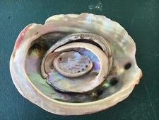 4 vintage Abalone Shells Nesting ranging from 1.75" to 5.25" long natural 
