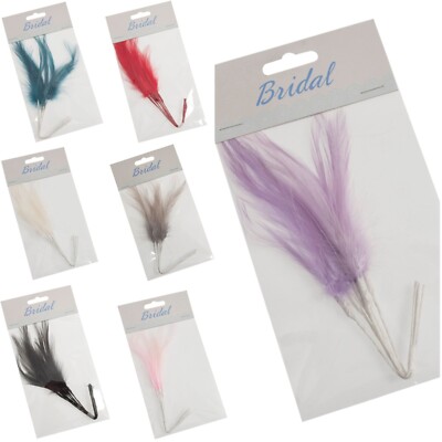 6er Pack schmale Federn - große Farbauswahl - Kostüm Hochzeit Blumen Basteln