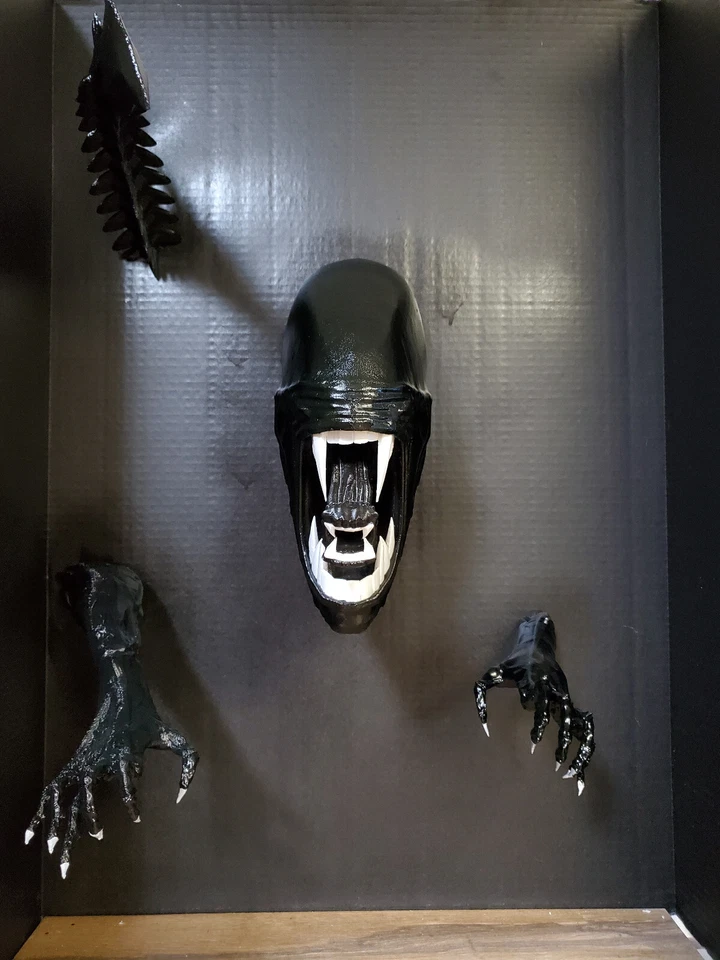 Kit Xenomorfo Tamaño Natural - Pantalla Xenomoprh Alien - H.R. Arte de pared de terror Giger Foto 4 de 4