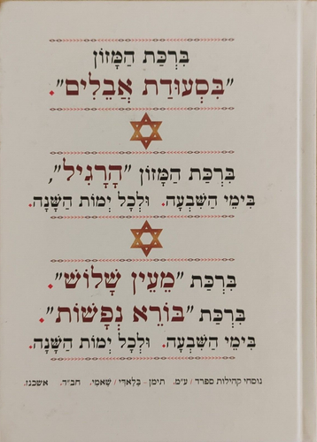 Birkenhamazon beim Traueressen für Shiva und das ganze Jahr über HEBRÄISCHES Judentum - Bild 1 von 7