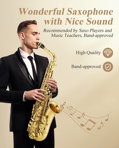 Eastar AS-Ⅲ Professional Alto Saxophone Eb Gold Kit - With Reeds Stand Hard Case - Picture 5 of 18