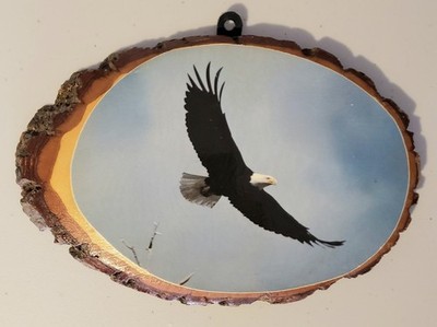 Antique Bald Eagle Varnished Painting Wood Drum, Continental Divide N.M..C USA