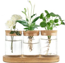 Plant Propagation Stations, 3 Pcs Glass Vases with Wooden Stand  Lid  Fits
