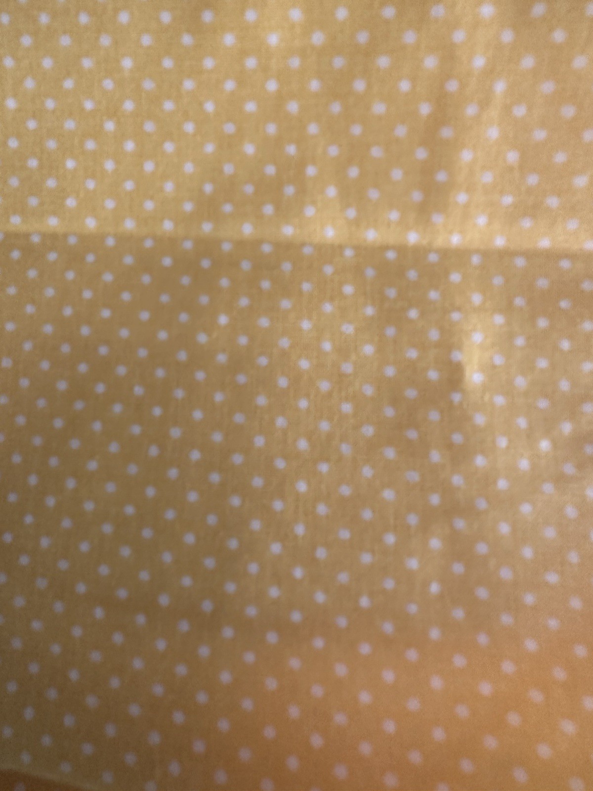 Foto 1 di 2