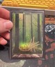Magic: The Gathering Forest Foil Basic Land Signed by John Avon 2004 Unhinged