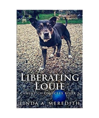 Liberating Louie: Large Print Edition, Linda A. Meredith