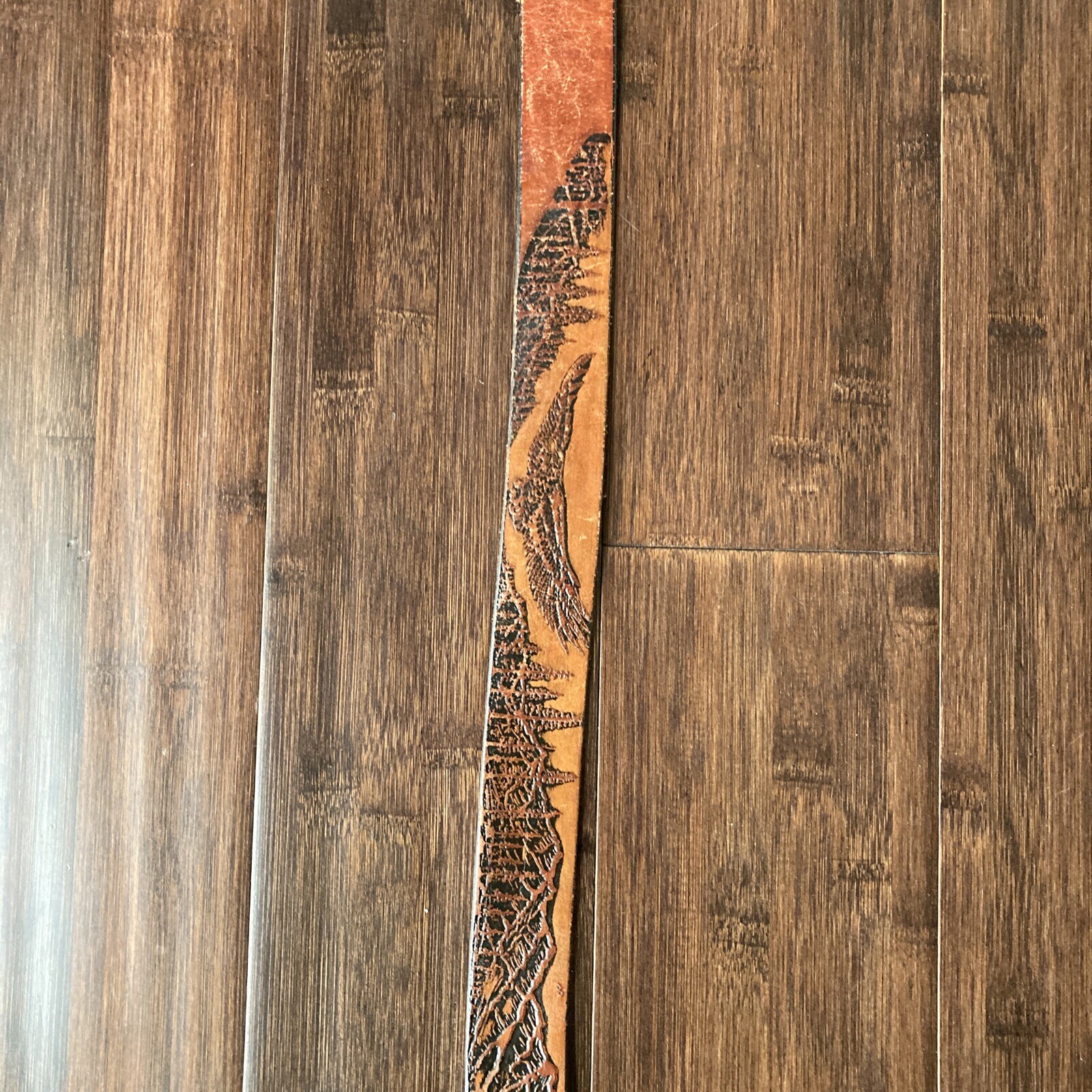 Picture 5 of 12