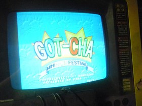 GOT CHA 1997 DONGSUNG ENGLISH LANGUAGE JAMMA working arcade game pcb board c173