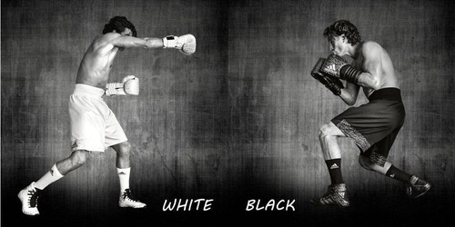 Adidas Boxing Limited Edition Professional Fight Shorts Pro short Black White Adidas Boxing Limited Edition Professional Fight Shorts Pro short Black White