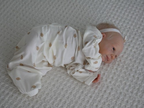 Doves Nursery ~ Reborn Preemie Baby ~ 29 week gestation ~ Charli Marita winters