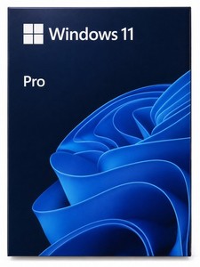 Windows 11 Pro 64 Bit USB | eBay