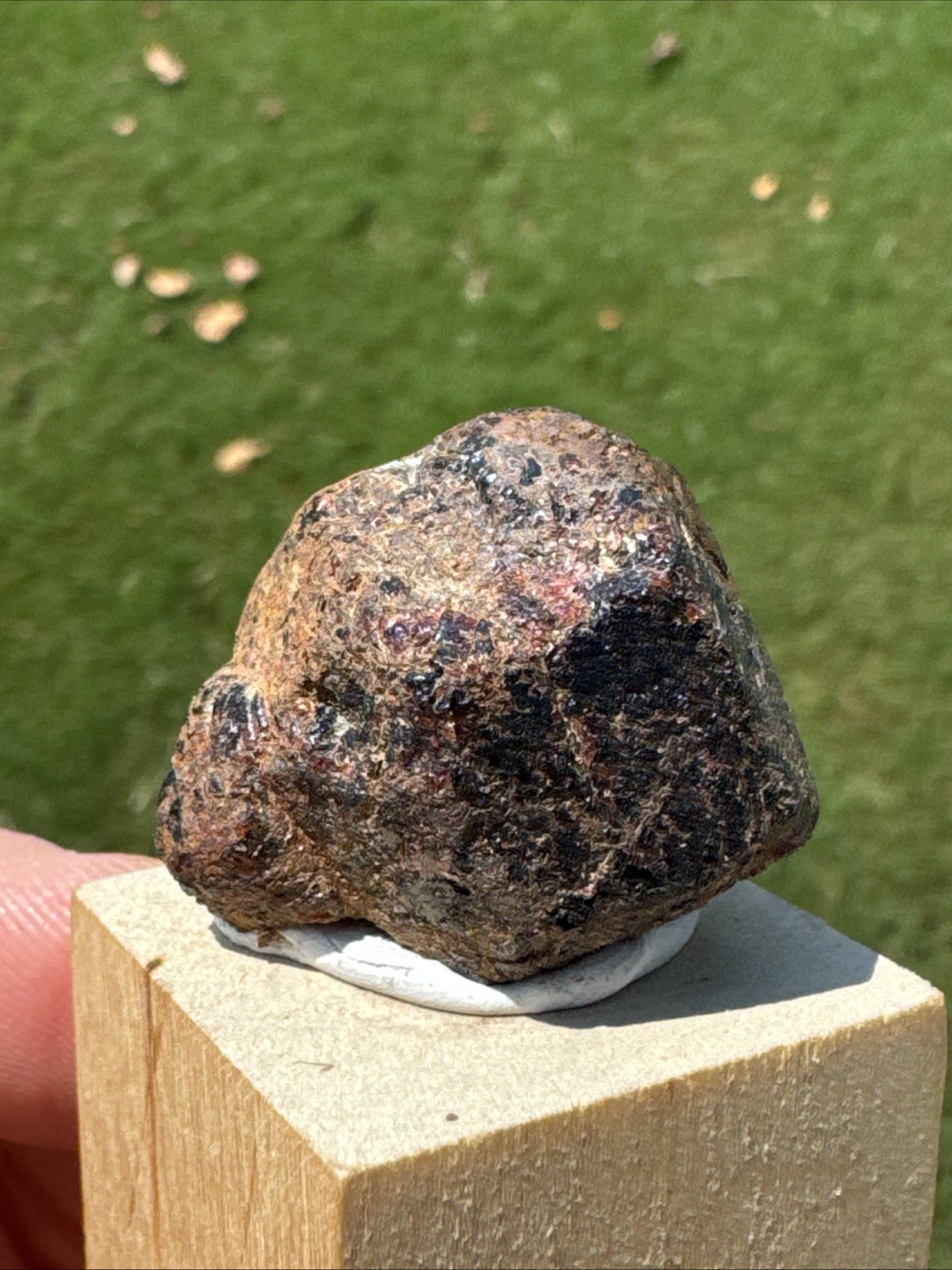 Picture 11 of 22