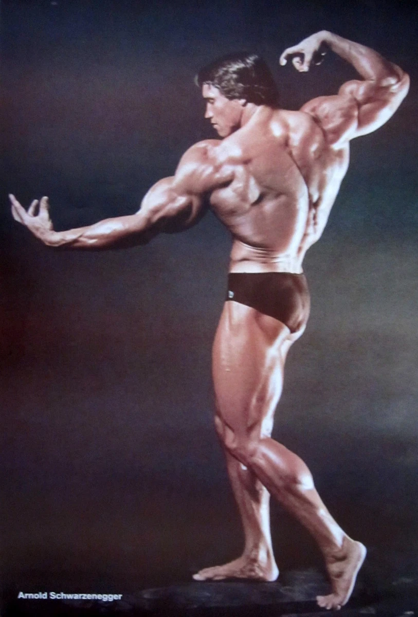Arnold Schwarzenegger Back