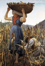 Peinture  / Reproduction,  "Le maïs",  Achille Glisenti,  1881    /   15 x 20