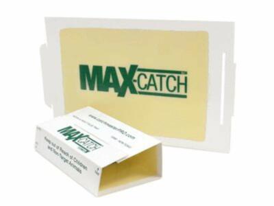 10x Catchmaster Glue Traps 72MAX Pest Boards Catch Spiders Snakes Insects 10 ct