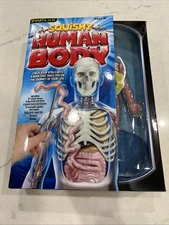 SmartLab Squishy Human Body Removable Parts Science Experiment Educational