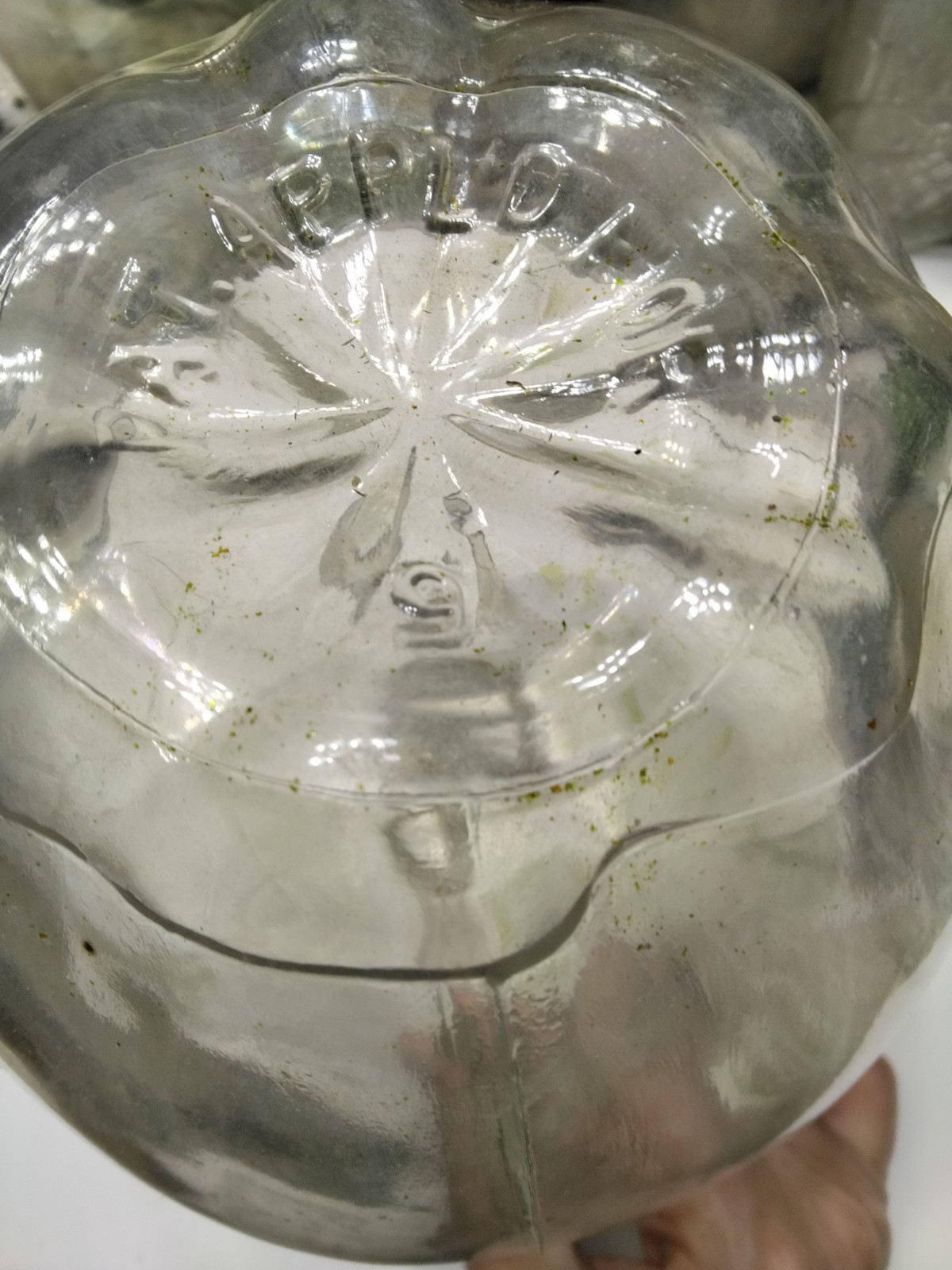 1930s Double Handled 1/2 Gallon Apple Cider Vinegar Figural Apple With Leafs Jug