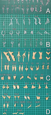 Unpainted 1/100 Scale GTM HOLDA17 Die KAISERIN Unassembled Resin