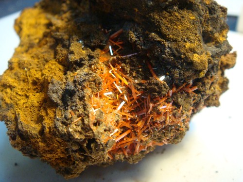 Crocoite Mineral Specimen From Adelaide Mine Dundas Tasmania 161 grams - Picture 6 of 6