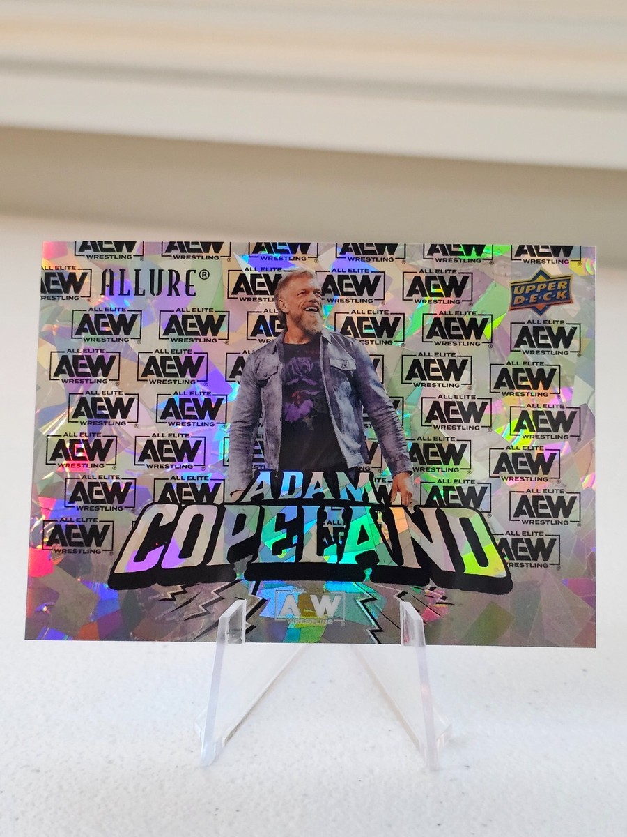 スポーツ選手 All Elite Wrestling AEW Allure 2024 AEW Allure Upper Deck - AEW Logo Serial #/199 Cards