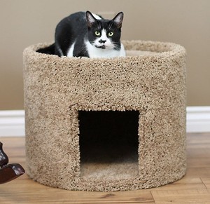 cat house for large cats