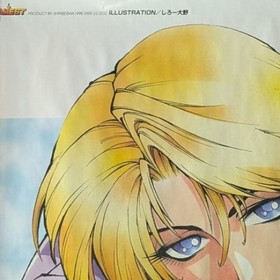 Neo Geo Girls Poster Selection: King The King of Fighters 95 Fatal Fury Japan