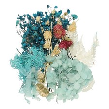 Natural Dried Flower Set, Dried Pressed Flowers Blue Purple 