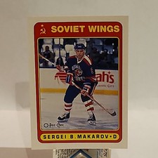 Sergei B. Makarov