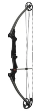 Genesis Archery Original Compound Bow (Right Hand, Black)