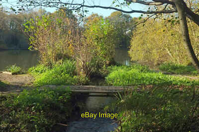 Photo 6x4 Stream entering Bradley Pond Bovey Tracey From Bovey Tracey Foo c2021