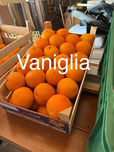 Arance Vaniglia di Sicilia-Calibro grande-15Kg-Dolcissime, da spremuta e tavola. - Foto 1 di 4