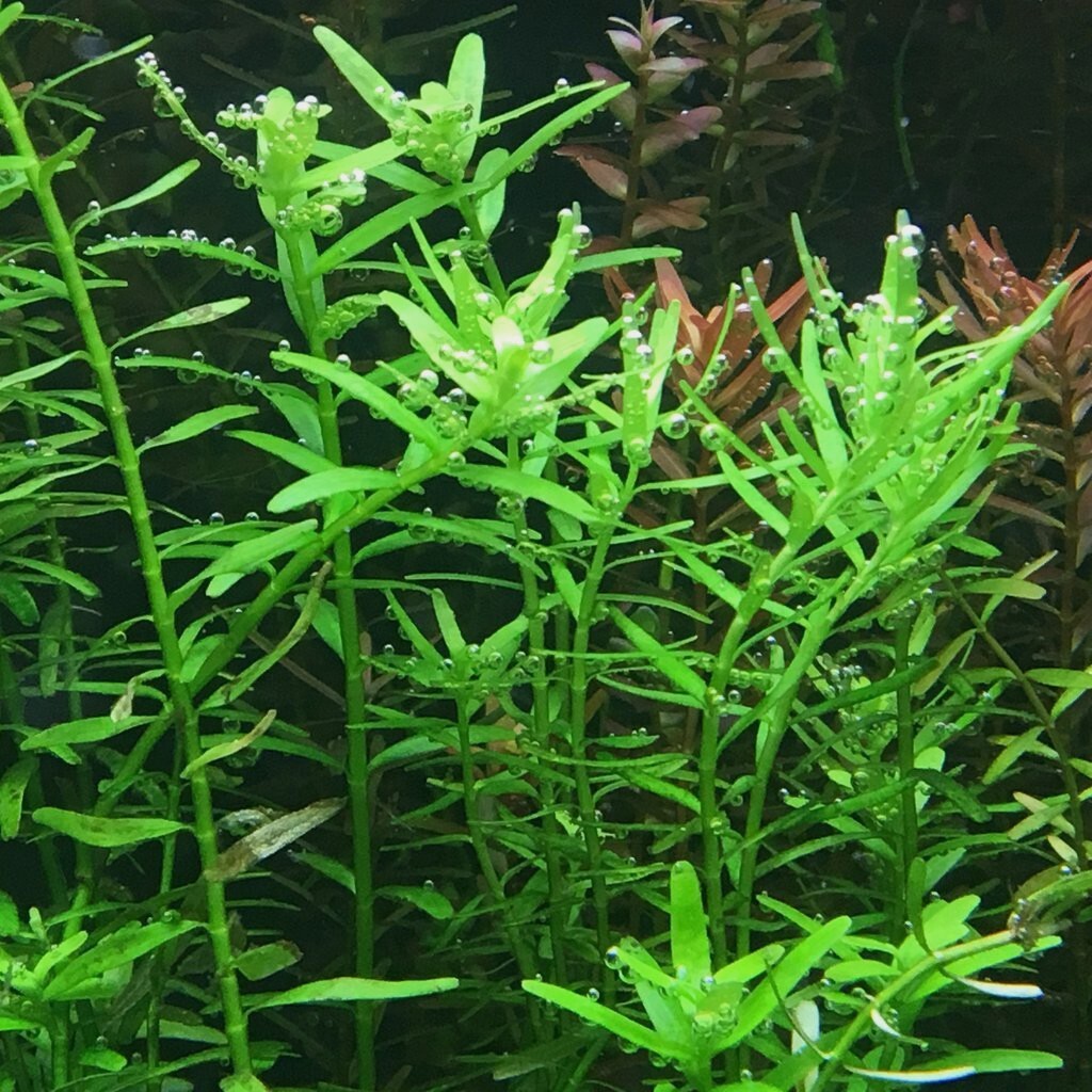 Foto 2 di 2