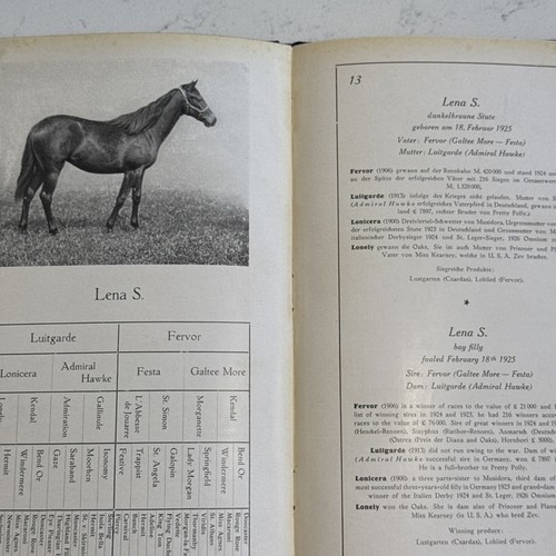 1926 Gestut Harzburg Germany Horse Stud Thoroughbred Dark Ronald Auction Catalog - Picture 20 of 24