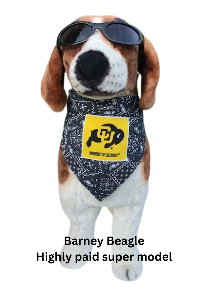 Colorado cheap dog bandana