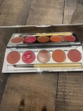 Chantecaille Les Sorbets Lip Gloss 5 Color Compact Palette READ No Box