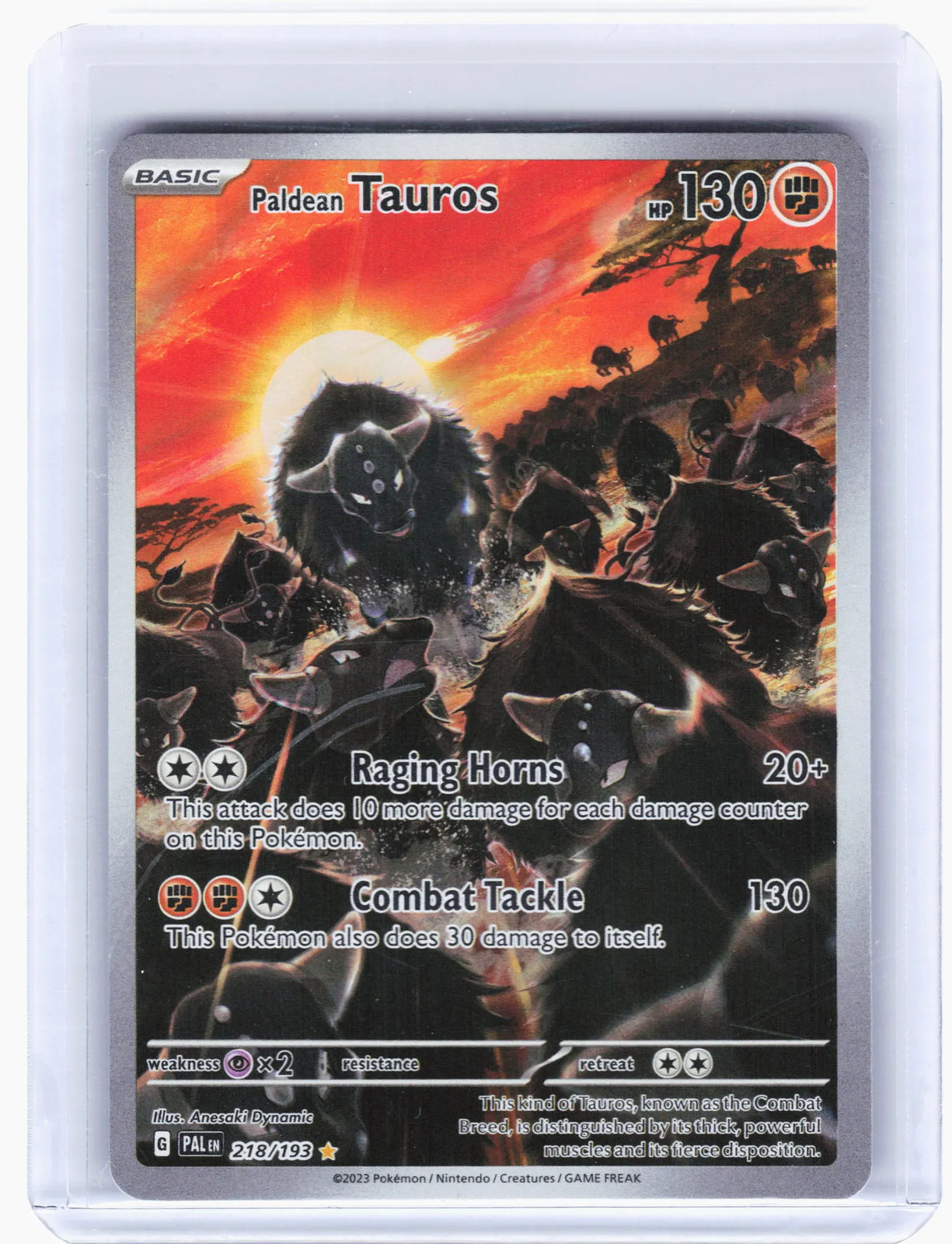 2023 Pokemon—Paldean Tauros #218/193 Paldea Evolved—Illustration Rare Foil