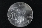 NobleSpirit Desirable 2015 American SILVER Eagle