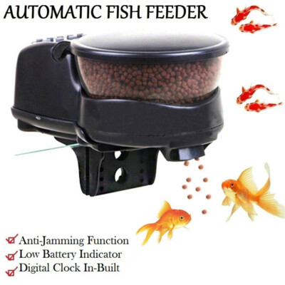 automatic fish feeder ireland