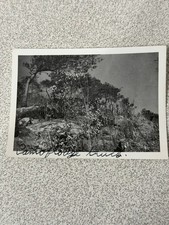 Vintage WWII Camouflage Truck Photograph Original Period Snapshot Militaria