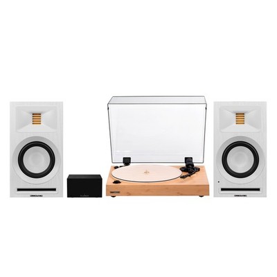 Fluance RT85N Vinyl Turntable, Ri71 Powered Bookshelf Speakers, PA10 Preamp